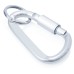 Carabiner Keyring