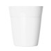 Cup 2 Go - Eco Coffee Cup w/Screw Top Lid