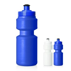 Plastic Drink Bottle w/Screw Top Lid - 325ml